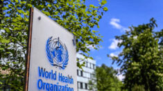 Plus de 200 revues spécialisées sur la santé demandent à l’OMS de déclarer une « urgence sanitaire mondiale » et invoquent le changement climatique