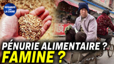 Focus sur la Chine – Pékin fait la promotion du son de riz dans un contexte de craintes de famine