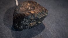 Découverte exceptionnelle près de Dieppe: «la première météorite retrouvée en France depuis 2011»
