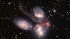 Le télescope spatial James-Webb sur la piste d’intrigantes galaxies dans l’Univers primordial