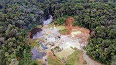 Les mines d’or illégales de la jungle colombienne dans le viseur des forces armées