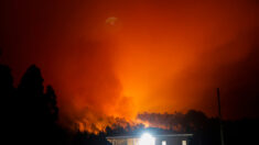 Chili: au moins 13 morts dans plus de 200 incendies de forêt