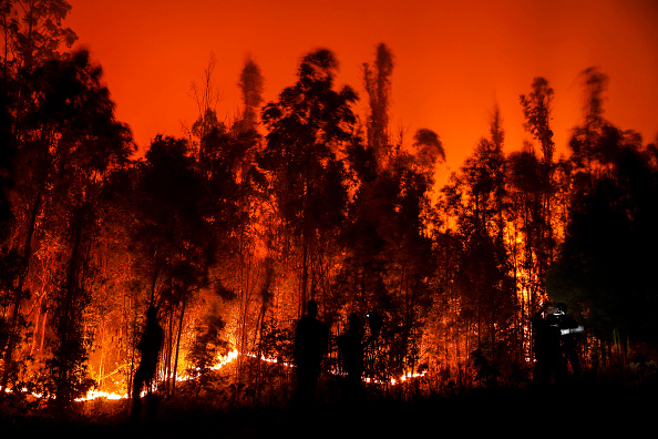 Au moins 24 personnes sont mortes dans des centaines d'incendies de forêt provoqués par une vague de chaleur intense dans le centre-sud du Chili. (Photo : JAVIER TORRES/AFP via Getty Images)