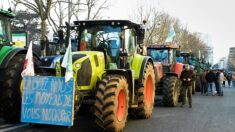 À Bordeaux, la FNSEA et les jeunes agriculteurs vont manifester contre la liquidation de l’agriculture française