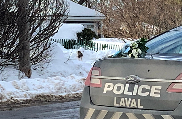 Des fleurs blanches sont déposées sur une voiture de police près de l'endroit où un autobus urbain a percuté une garderie, à Laval, Québec, Canada, le 8 février 2023. (Photo : ANNE-SOPHIE THILL/AFP via Getty Images)