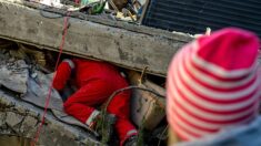 Turquie : un chien sauvé des décombres réchauffe le cœur d’une famille de sinistrés