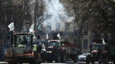 « Un ras-le-bol général »: des dizaines d’agriculteurs ont manifesté à Toulouse vendredi 17 février