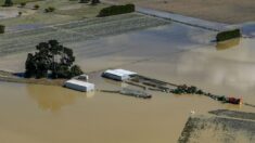 Cyclone en Nouvelle-Zélande: la reconstruction devrait coûter des « milliards de dollars »