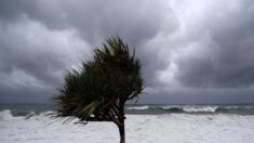 Cyclone Freddy: l’île Maurice balayée par les pluies, « l’amélioration se dessine rapidement » à la Réunion
