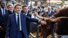 Les militants écologistes qui ont interpellé Macron au salon de l’Agriculture acceptent de discuter