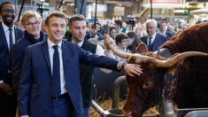 Emmanuel Macron commence une visite marathon de plus de 12 heures au Salon de l’Agriculture