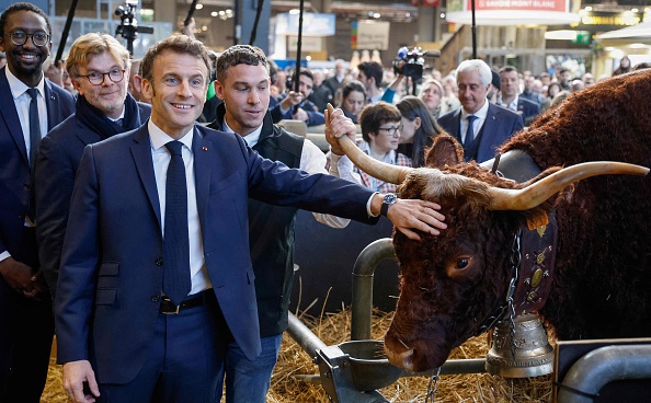 Le président Emmanuel Macron (c), entouré du ministre de l'Agriculture Marc Fesneau (2e g), du secrétaire d'État à la Mer Hervé Berville (g) et de l'éleveur français Michel Van Simmertier (d), avec la vache Salers Ovalie, égérie du 59e Salon international de l'agriculture, le 25 février 2023. (Photo by LUDOVIC MARIN/POOL/AFP via Getty Images)