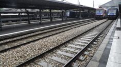 La SNCF laisse les Français partir en vacances et la RATP conseille aux voyageurs de rester chez eux !