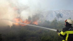 Pyrénées-Orientales: un incendie maîtrisé, 60 hectares brûlés