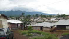 Guinée équatoriale: 2 nouveaux décès dans une épidémie de fièvre hémorragique de Marburg