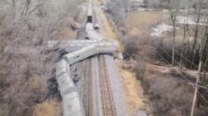 Un train déraille près de Detroit, dans le Michigan, avec un wagon transportant des matières dangereuses