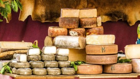 La France absente du top 10 des meilleurs fromages au monde au guide touristique TasteAtlas