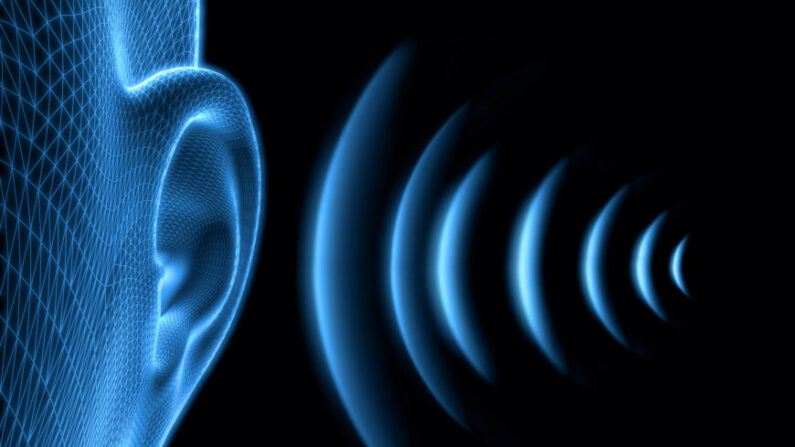 Illustration filaire de l'oreille humaine avec ondes sonores. (Shutterstock)