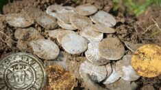 Un lot de 600 pièces de monnaie médiévales évalué à 170.000 euros exhumé par des amateurs en détection de métaux