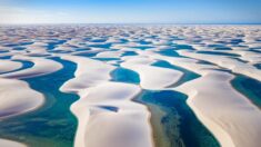 Pourquoi ce «désert» surréaliste se remplit-il chaque année de lagons sans fin et de poissons?