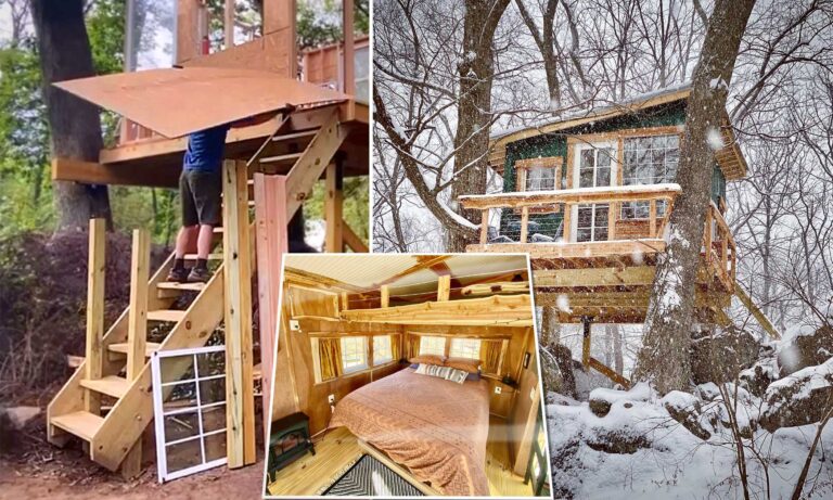 Un couple construit son propre Airbnb dans un arbre à partir de rien, l'affaire prospère et marche bien