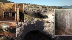Un spéléologue tombe sur une grotte intacte depuis des milliers d’années, contenant de nombreuses traces d’ours préhistoriques   
