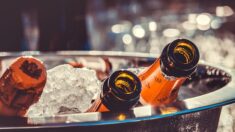 La commission européenne valide le projet irlandais de règlementation de l’étiquetage des boissons alcoolisées