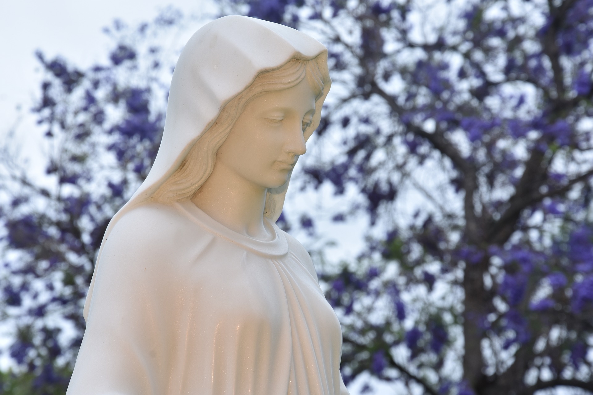 Séisme en Turquie: comme une image d'espérance, une statue de la Vierge Marie debout au milieu des décombres