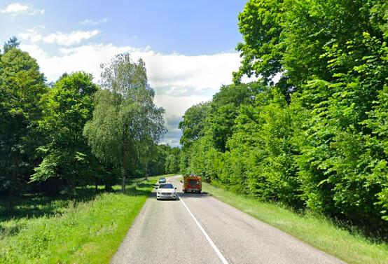 La RD9 du Bas-Rhin entre La Petite-Pierre et Petersbach. (Capture d'écran/Google Street View)