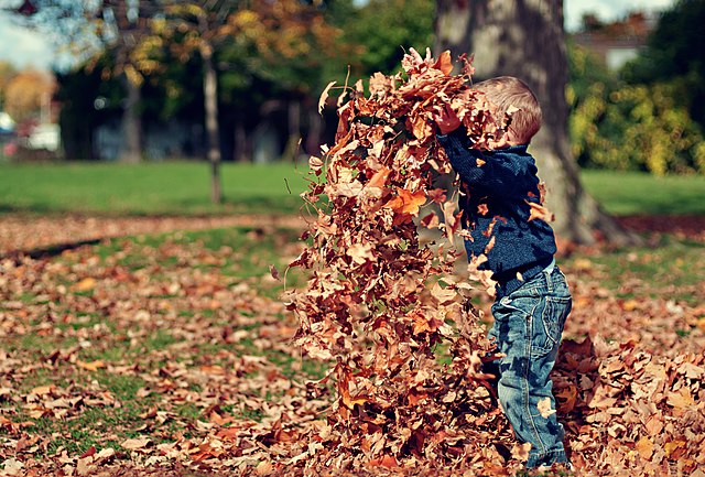 Le contact avec la nature aide les enfants à grandir. (Scott Webb / Wikimedia Commons , CC BY-ND)