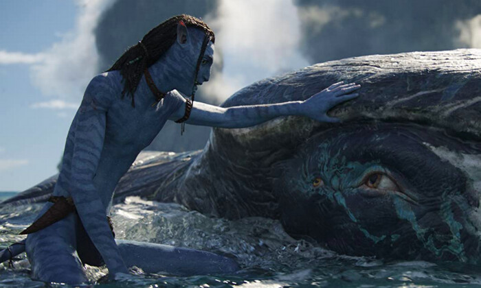 Lo'ak (Britain Dalton) se rapproche de son amie baleine blessée au harpon lorsqu'il réalise qu'ils sont tous deux des parias, dans « Avatar : La voie de l'eau ». (20th Century Studios)