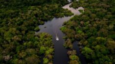 L’approche du président brésilien à l’égard de la déforestation amazonienne s’appuie sur de « vieux schémas de corruption » et des financements américains, selon des analystes