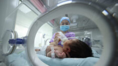 Le prélèvement de reins sur des bébés chinois sonne l’alarme sur la « machine à produire des organes » du PCC, alerte un expert