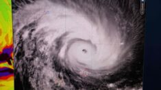 Le cyclone Freddy fait une « boucle » et revient frapper Madagascar, 2 morts