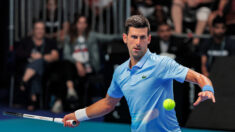 ATP: 379 semaines comme N.1 pour Djokovic, mais la menace Alcaraz plane