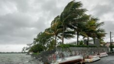 Freddy pourrait devenir le plus long cyclone jamais enregistré selon l’ONU