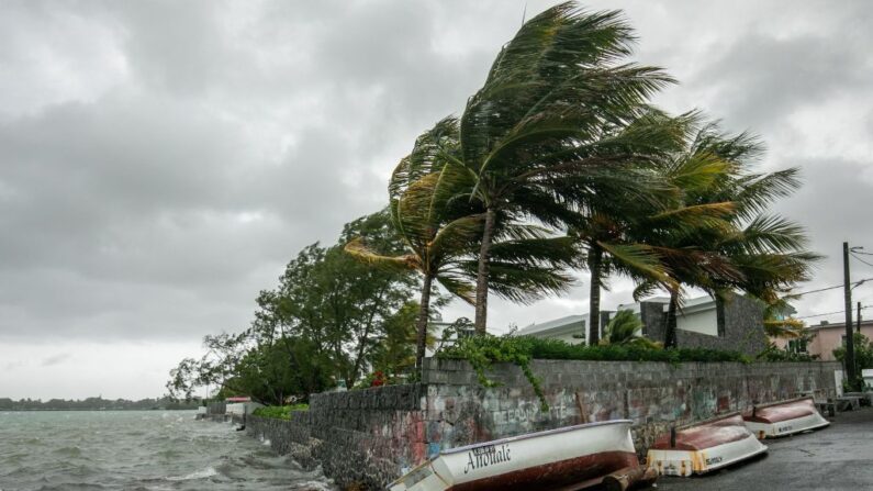 Les rafales estimées au centre du cyclone Freddy pourraient atteindre environ 275 kilomètres (170 miles) par heure.  (LAURA MOROSOLI/AFP via Getty Images)