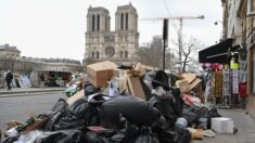 Grève: «barrages filtrants» sur les incinérateurs de déchets près de Paris