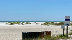 Floride: la marée rouge, un casse-tête récurrent pour la côte ouest