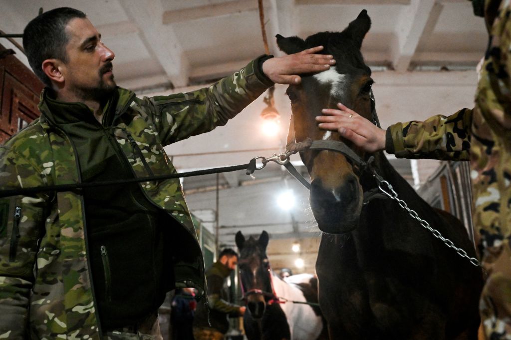 Des chevaux pour soulager l'âme des soldats ukrainiens