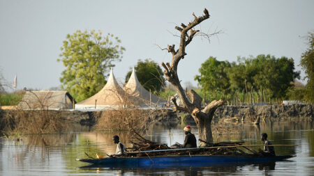 «Nous avons été oubliés»: au Soudan du Sud, la survie après quatre ans d’inondations