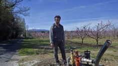Pyrénées-Orientales : angoisse d’un printemps à sec pour les agriculteurs