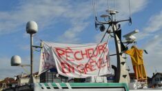 Journées mortes dans les ports: rassemblement à Brest, blocages au Havre et Boulogne-sur-Mer
