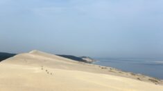 Dune du Pilat: enseveli depuis des années, un vieil escalier de camping surgit du sable