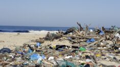 Au Brésil, des croûtes de déchets plastiques dans des rochers