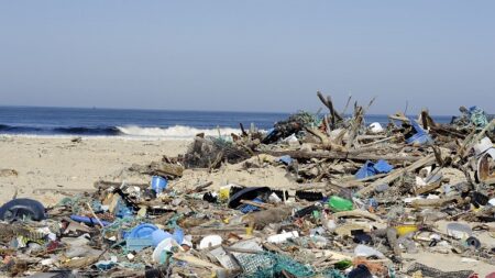 Au Brésil, des croûtes de déchets plastiques dans des rochers