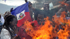 Violences en Haïti: 531 personnes tuées depuis janvier