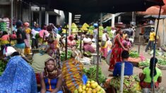 Afrique : faut-il viser l’autonomie alimentaire ?
