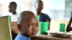 De nombreux enfants privés de repas scolaires dans un contexte de crise alimentaire mondiale