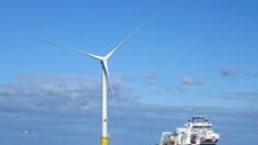 Le plus grand parc éolien en mer attribué à EDF